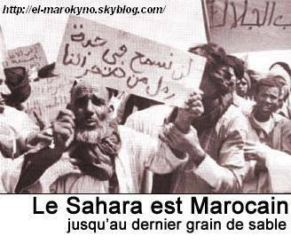 sahara