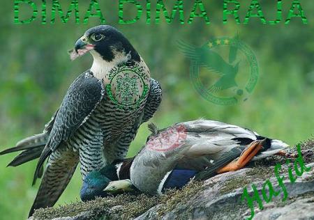 raja