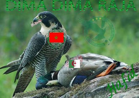 vive le maroc